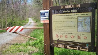 Snake Road Illinois Spring 2024 SNAKE MIGRATION |  FULL VIDEO