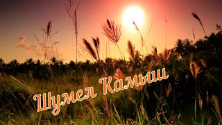 Виктор Королёв - Шумел Камыш