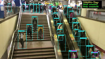 yolov4-tiny model for crowded human detection
