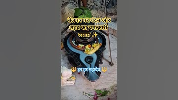 🌿 बेलपत्र पर चंदन और शहद का उपाय का लाभ #shorts #ytshorts #upay #pradeepmishra #shivpuran