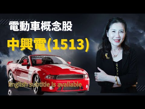 電動車概念股 ｜ 中興電(1513) ｜ 下集.1513-The second episode.