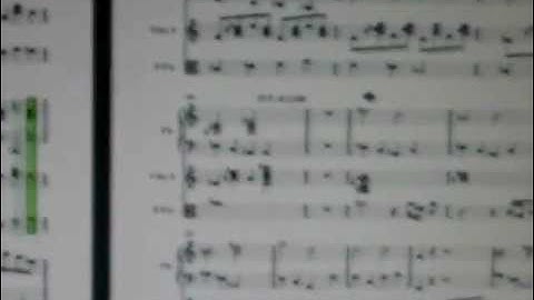 Notion SLE Miroslav very nice software