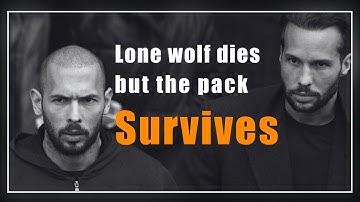 YOU MUST BUILD A STRONG NETWORK | Motivational Speech ( Andrew Tate Motivation )