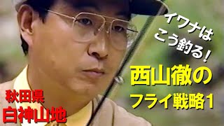 【イワナはこう釣る！】西山徹のフライ戦略1／イワナ／秋田県白神山地／ライズシーン満載！I fish charr like this !