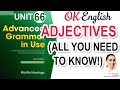 Unit 66 Прилагательные, позиция в предложении | English Grammar Advanced