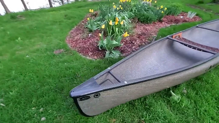 My new Swift Wildfire!