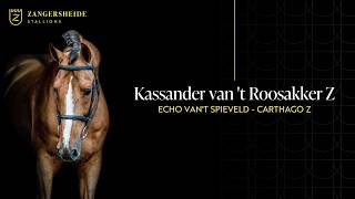 Kassander Van'T Roosakker Z-- Zangersheide Hengstpräsentation 2026 ( GER )