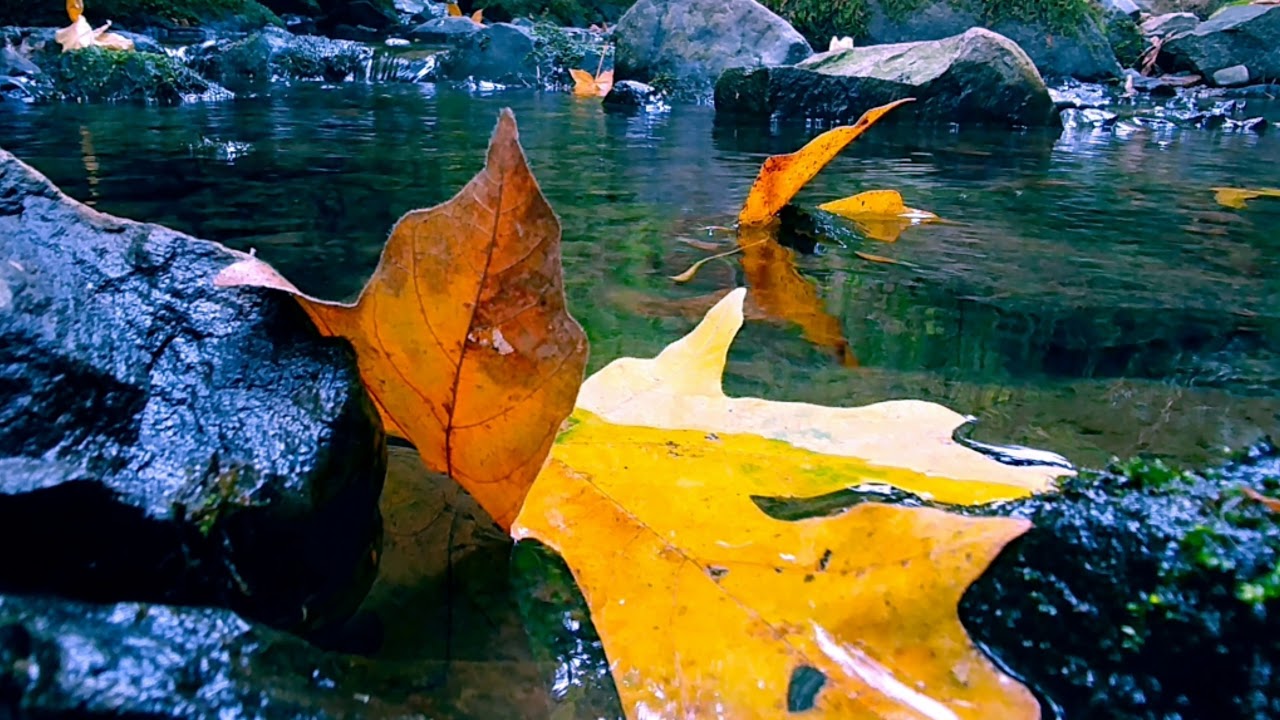 New Quick Intro Rhonda Grace