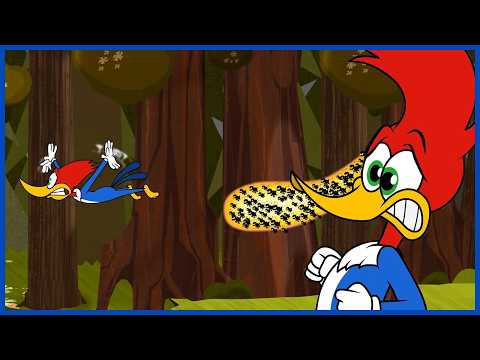 Woody Flees the Bees! 🐝 | Woody Woodpecker