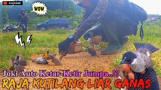 ▶️ PIKAT KUTILANG CENGKRAM VS RAJA KUTILANG//Penunggu Kebun Sawit!