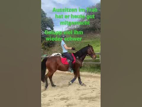 Pssm2 Reiten Symptome #horseriding #equestrian #pferd #pssm # ...