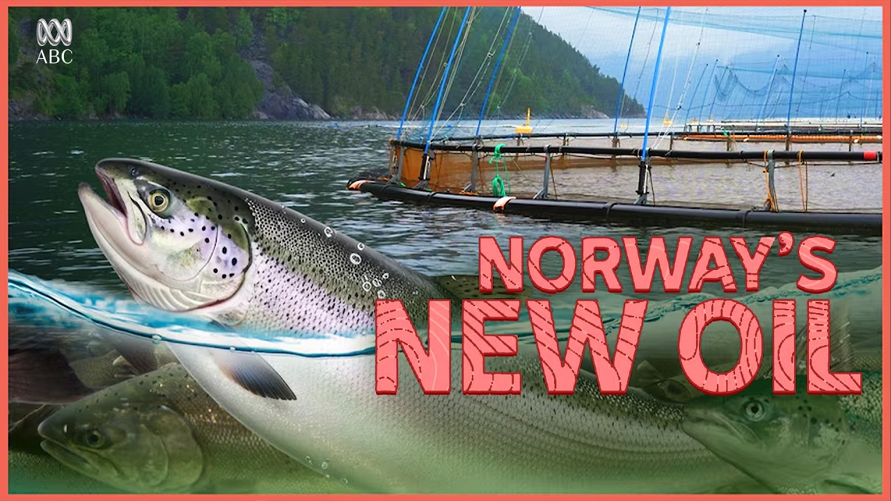 Norway's New Oil | Preview
