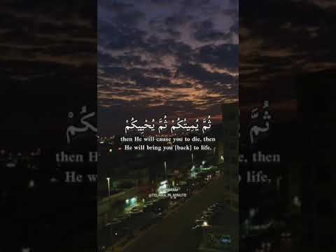 كيف تكفرون بالله وكنتم امواتا فاحياكم ثم يميتكم ثم يحييكم تلاوة مميزة للقارئ انس المالك