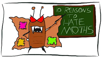Is it safe to sleep with a moth in your room?
