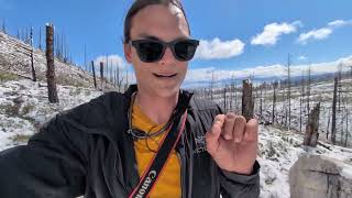 AI Dependency and IQ Degeneracy - Vlog