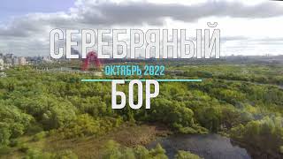 Серебряный бор (октябрь 2022)