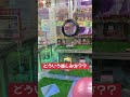 どういう楽しみかた？ #ゲームセンター #ufoキャッチャー #クレーンゲーム #アラフォー #チャンネル登録お願いします #おもしろ