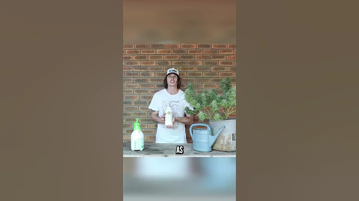 How to use JADAM Wetting Agent!