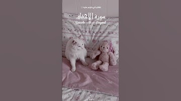 سورة الأحقاف | 💗 Surah Al-Ahqaf – ﴿يَا قَوْمَنَا أَجِيبُوا دَاعِيَ اللَّهِ﴾ تلاوة ناصر القطامي