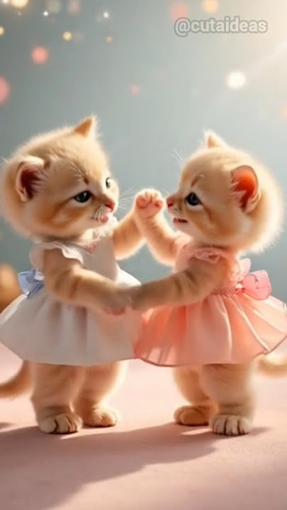 dhinka chika dhinka chika 🐈😺🐾💕 #catlover #cute #shortsfeed #shorts