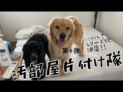 息子(24)が出掛けた隙に汚部屋片付けてみた