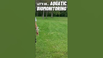 Collecting Aquatic Bugs to Determine Water Quality.   #shorts #science #shortsvideo