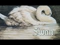 &quot;The Swan&quot; - from The Carnival of the Animals (HQ)