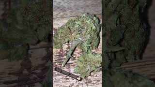 Cannatonic UK CBD Hemp Flower Review | Greenhouse Grown | HempHash