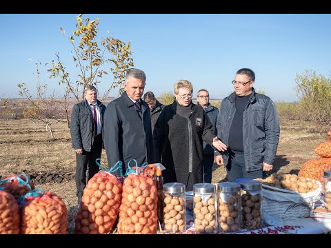 Видео: Защо сиропът от шипка е полезен?