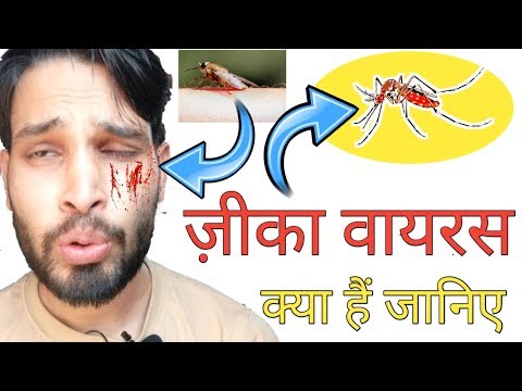 zika-virus:-क्या-हैं-ज़ीका-वायरस?-zika-virus-in-india-|-vishal-online-classes