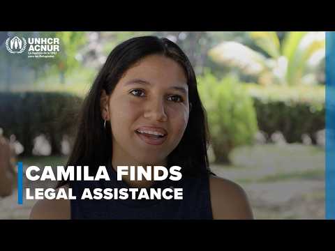 From Uncertainty to Opportunity: The Power of Legal Assistance