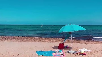 How to transition dolly warp for kine master