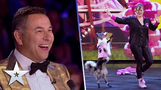 Amber and The Dancing Collies GIVE US CHILLS…. And they're MULTIPLYING | The Final | BGT 2022