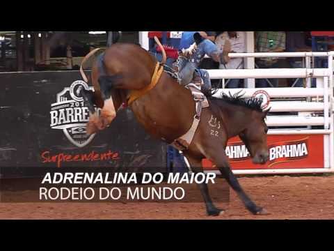 62ª Festa do Peão de Boiadeiro de Barretos 2017