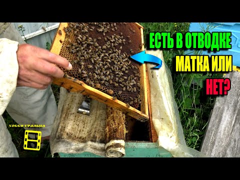РЕЗУЛЬТАТЫ ОБЛЕТА МАТОК.