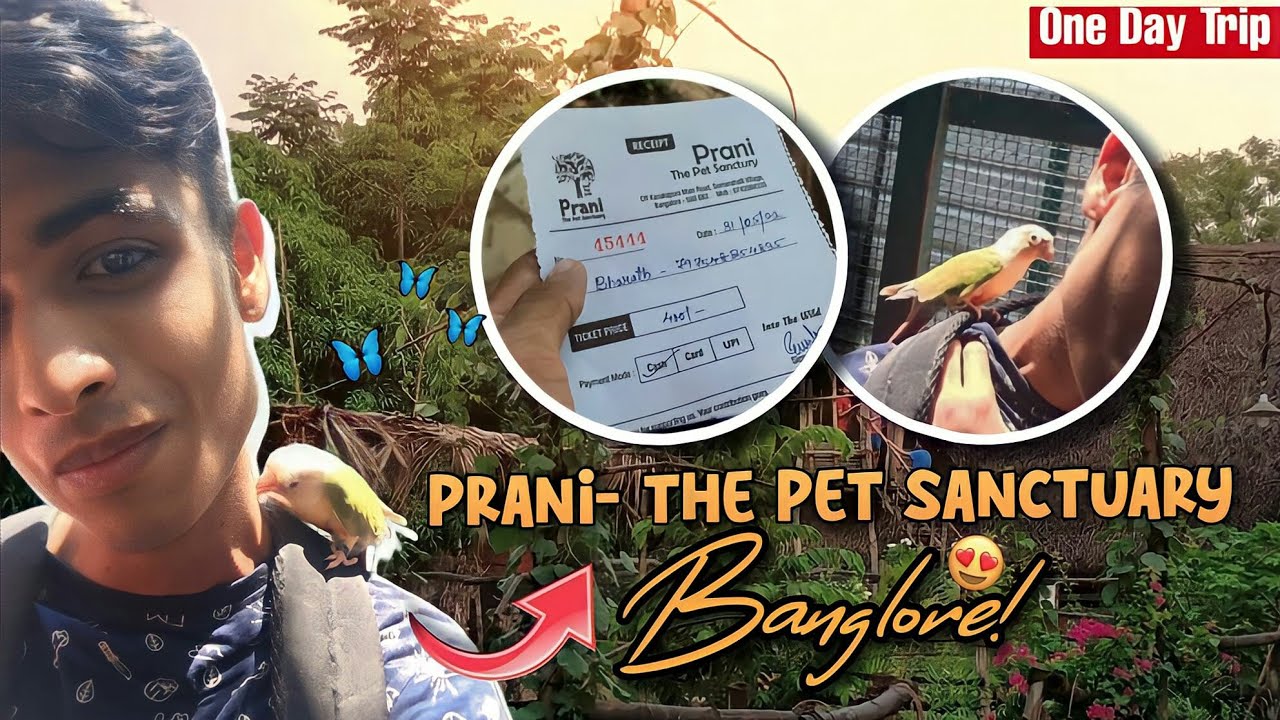 Prani the pet sanctuary |  Bangalore | ಪ್ರಾಣಿ ಪ್ರಪಂಚ 🐾| plan for one day trip