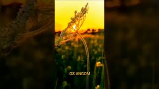 Taionare New Manipuri Whatsapp Status