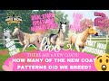 Did we breed any of the NEW coat patterns??  Rival Stars Horse Racing update Part 2