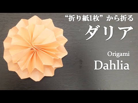 折り紙1枚で 簡単 可愛い立体的な花 ダリア の折り方 How To Make A Dahlia With Origami Flower Youtube