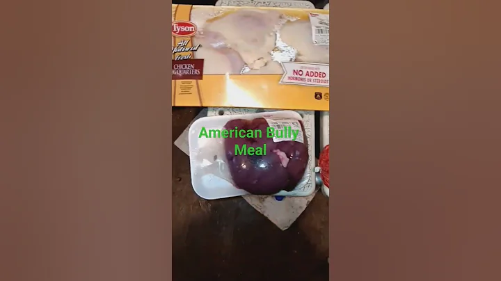 SUCCA FREE BULLY'S meal plan #puppy #dog #006 #bullybully #dogfood #rawdogfood #americanbully #abkc