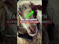 Alien Earth Sheep Experiment EXPLAINED!!️