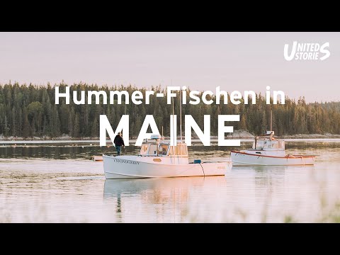 Video: Hvor Får Man Hummer I Maine Om Efteråret