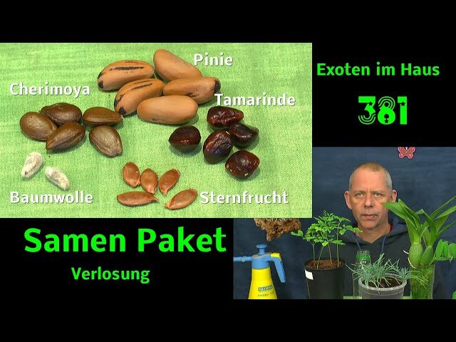 Exotische Pflanzen heran ziehen und Verlosung eines Samen Paketes