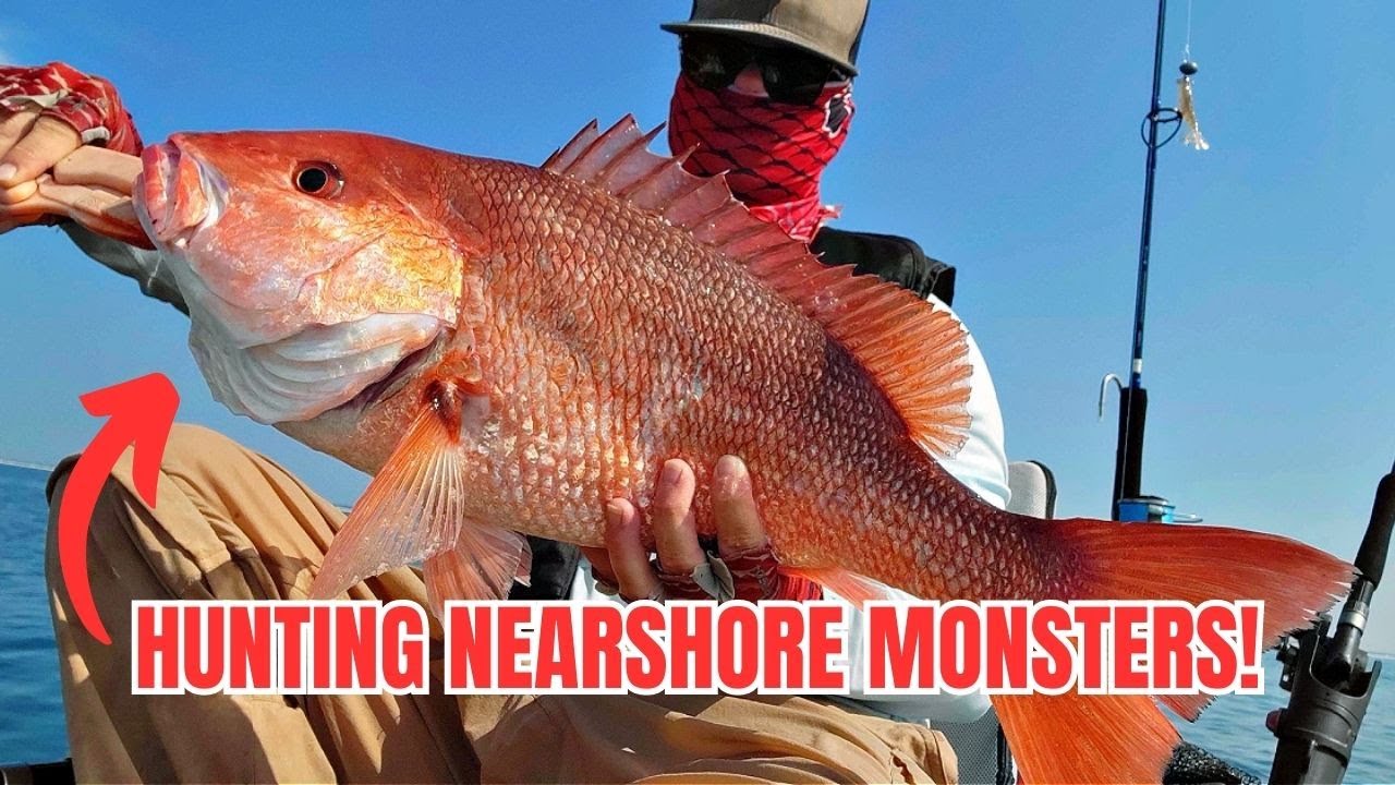 Hunting Nearshore Giants On Artificial Reefs With Live Bait