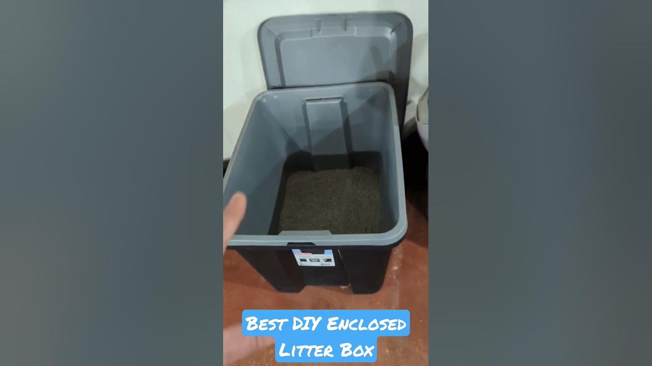 12+ Diy Kitty Litter Box