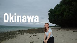 Taketomi Island Day Trip | Snorkeling, Star Sand &amp; Ishigaki Beef Yakiniku in Okinawa