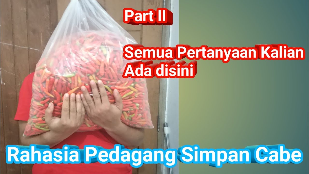 Cara Simpan Cabe Biar Awet Bisa Tahan 4 Bulan II Part II Rahasia