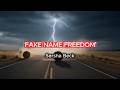 Kane &amp; Beck Thunder - Fake Name Freedom