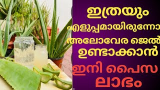 ഇനി ആരും പൈസ കളയേണ്ട, അലോവേര ജൽ സ്വന്തമായി വീട്ടിലുണ്ടാക്കാം