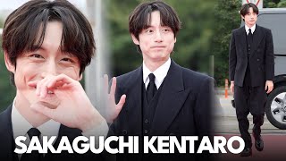 사카구치 켄타로(坂口健太郎) 레드카펫 남신 등장 | SAKAGUCHI KENTARO Seoul Drama Awards